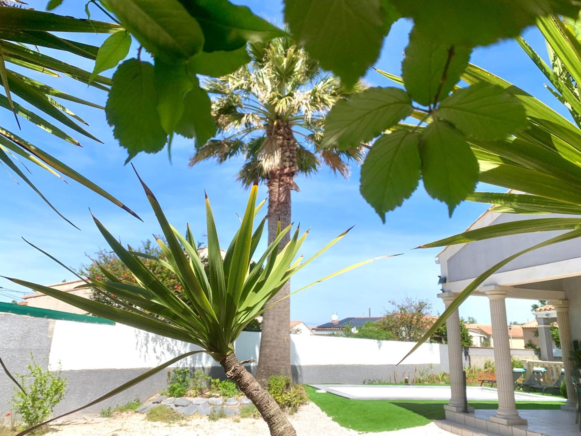 Villa Grande Piscine Cap Agde